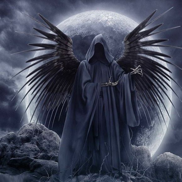 Meet your Posher, Jon - Picture 1 of 1